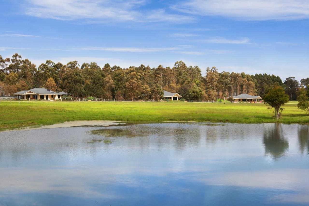 Redgate Forest Retreat Witchcliffe Εξωτερικό φωτογραφία