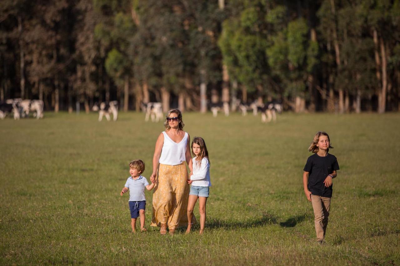 Redgate Forest Retreat Witchcliffe Εξωτερικό φωτογραφία