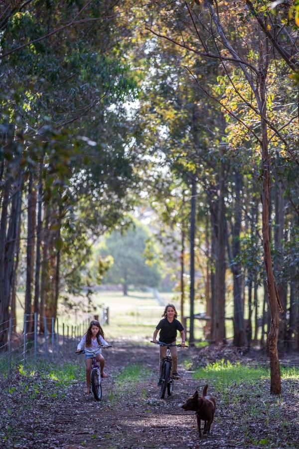 Redgate Forest Retreat Witchcliffe Εξωτερικό φωτογραφία