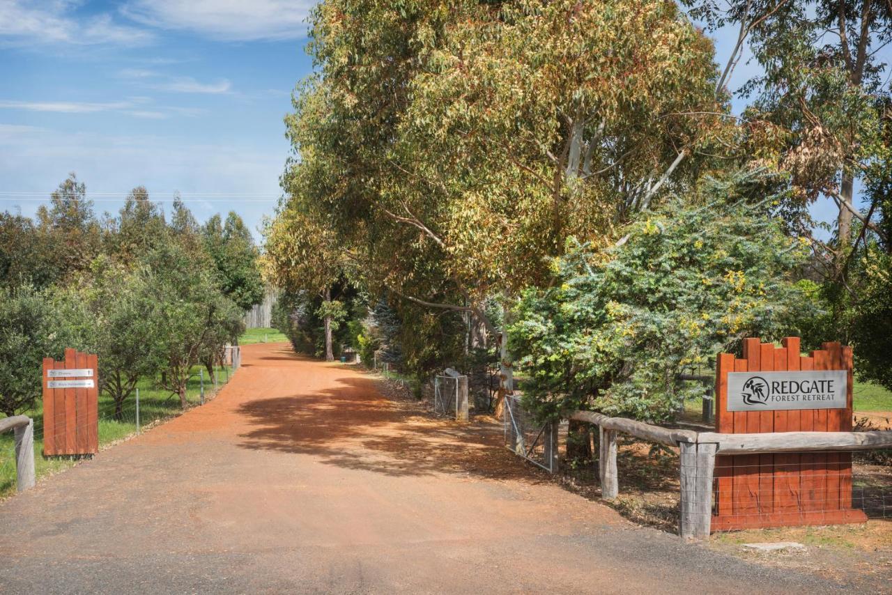 Redgate Forest Retreat Witchcliffe Εξωτερικό φωτογραφία