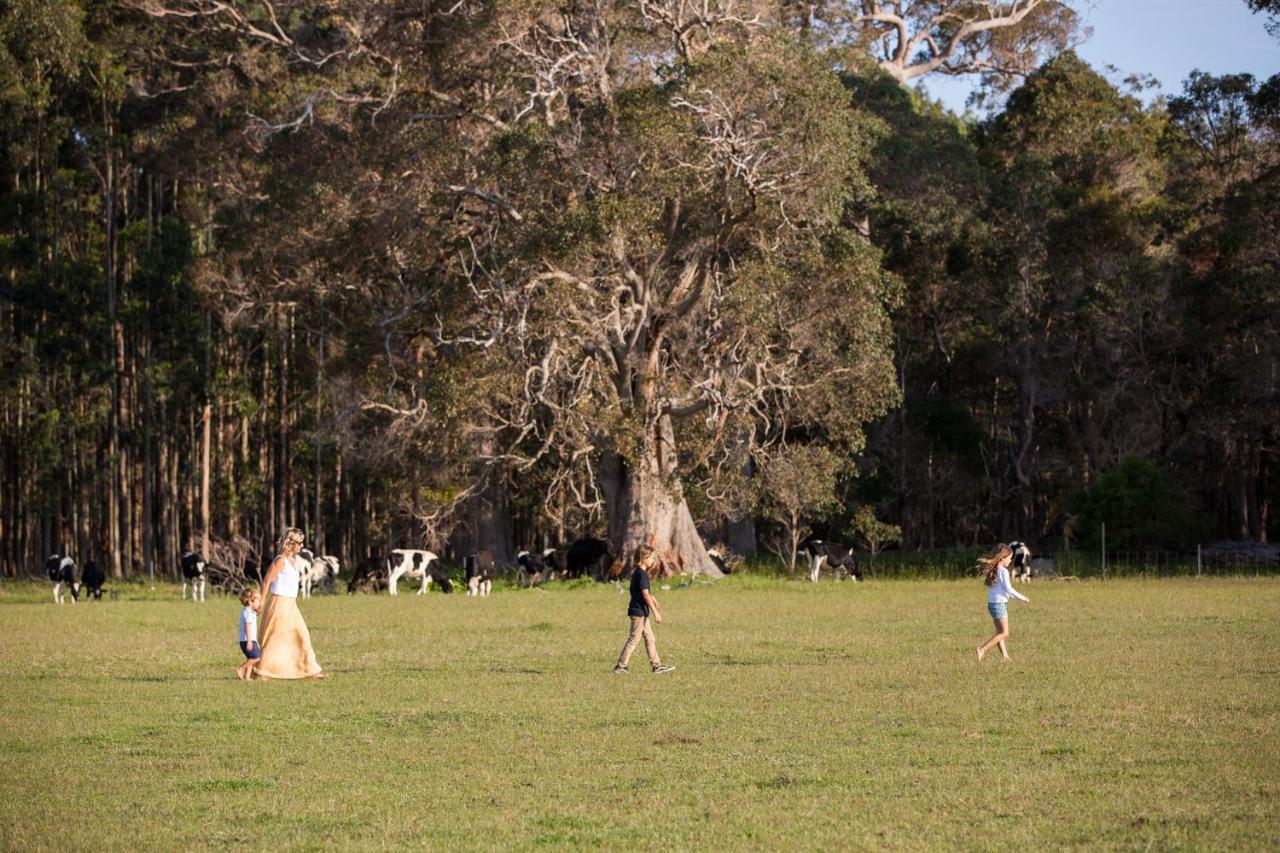 Redgate Forest Retreat Witchcliffe Εξωτερικό φωτογραφία
