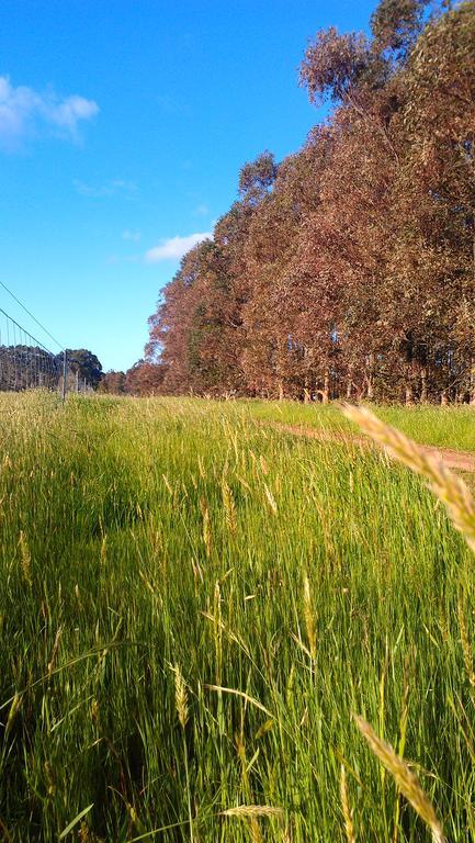 Redgate Forest Retreat Witchcliffe Εξωτερικό φωτογραφία