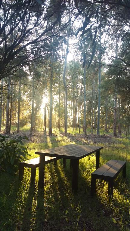 Redgate Forest Retreat Witchcliffe Εξωτερικό φωτογραφία