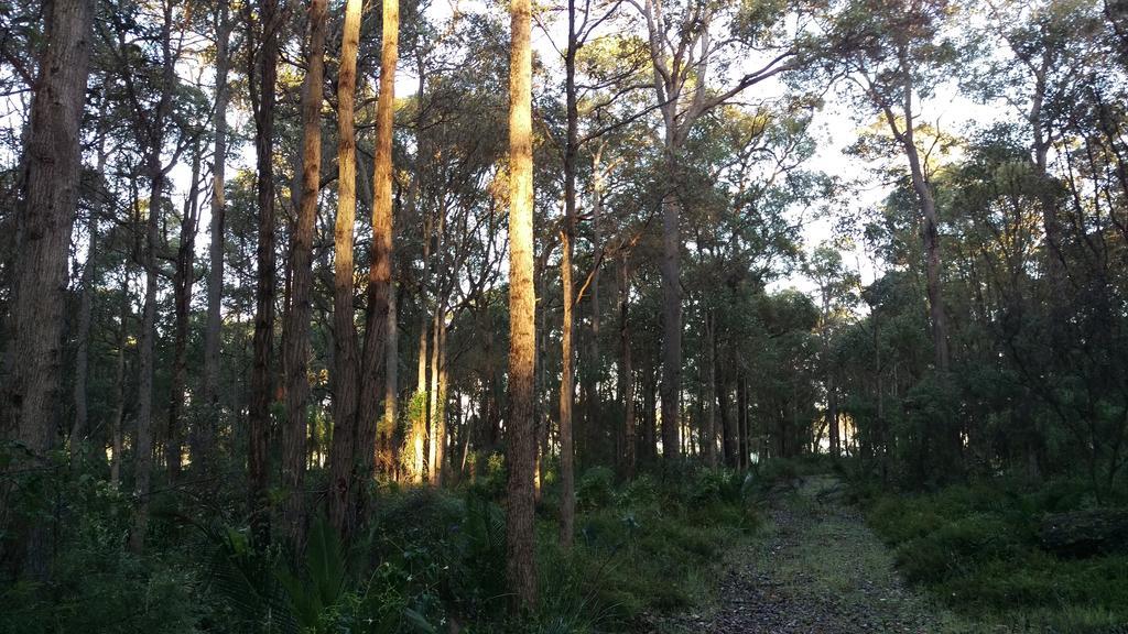 Redgate Forest Retreat Witchcliffe Εξωτερικό φωτογραφία