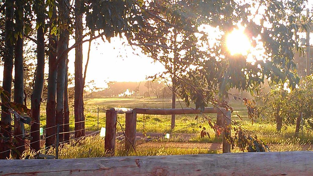Redgate Forest Retreat Witchcliffe Εξωτερικό φωτογραφία