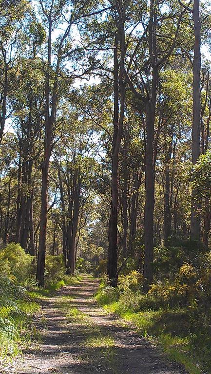 Redgate Forest Retreat Witchcliffe Εξωτερικό φωτογραφία
